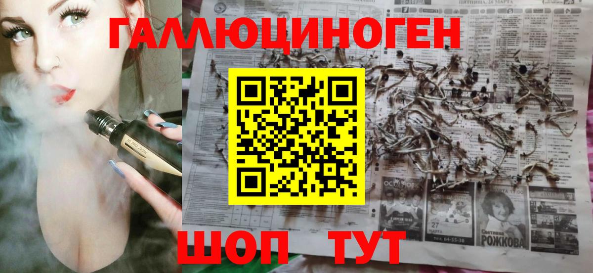 Галлюциногенные грибы Psilocybine cubensis Грязи