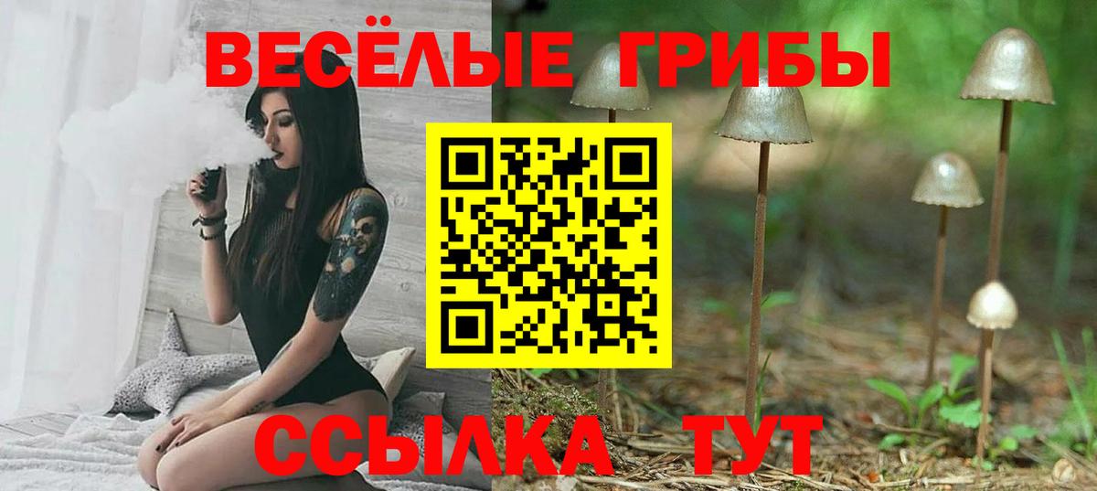 Псилоцибиновые грибы мицелий  сколько стоит  Грязи  Вход с VPN 